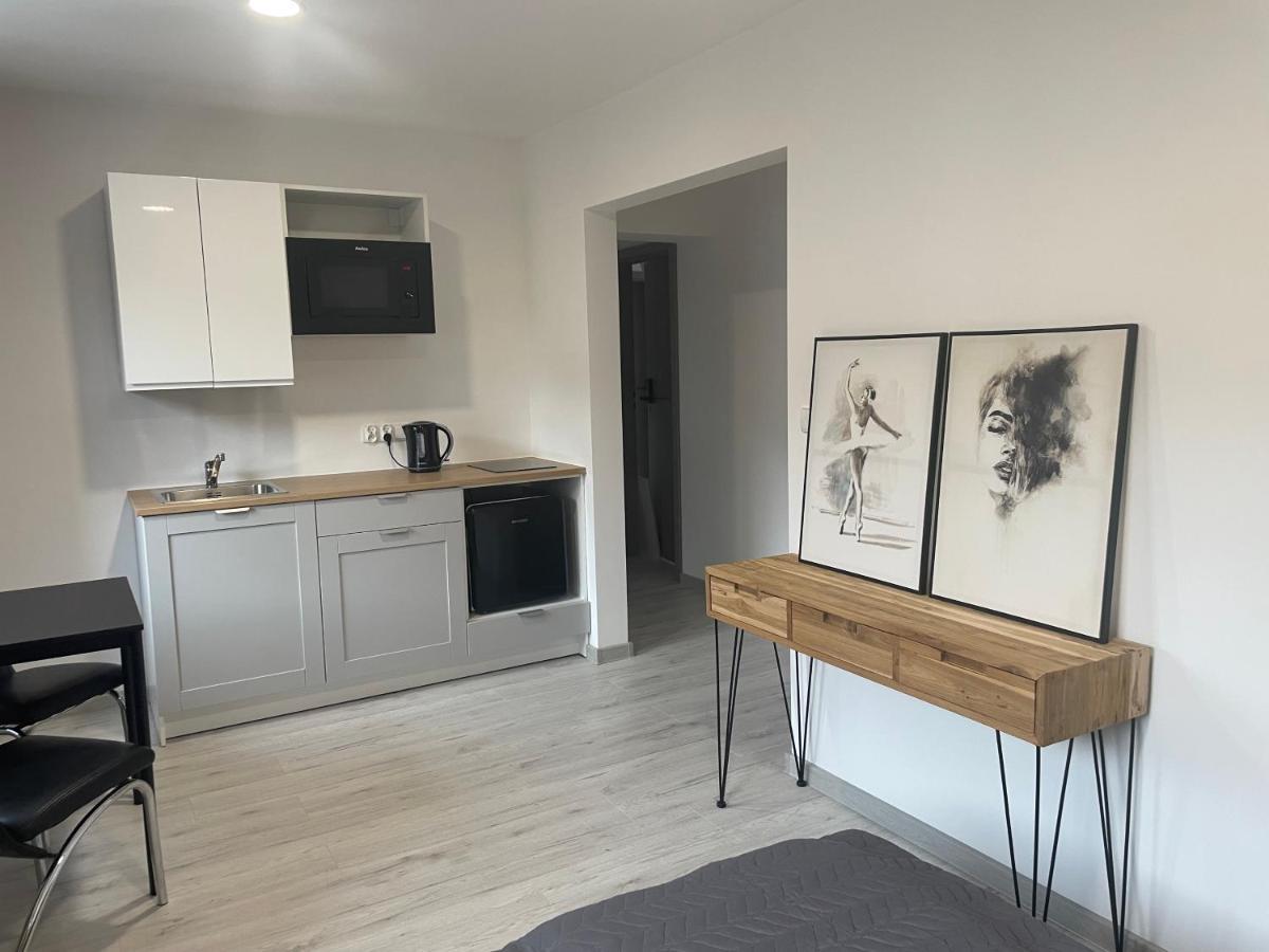 Apartamenty Wisla Centrum Kültér fotó